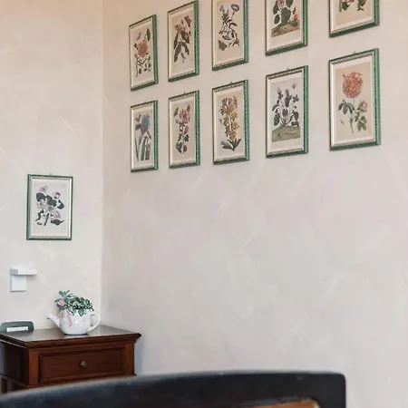 住宿加早餐酒店 Mascitti Alto 托尔托雷托