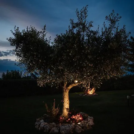 住宿加早餐酒店 Mascitti Alto