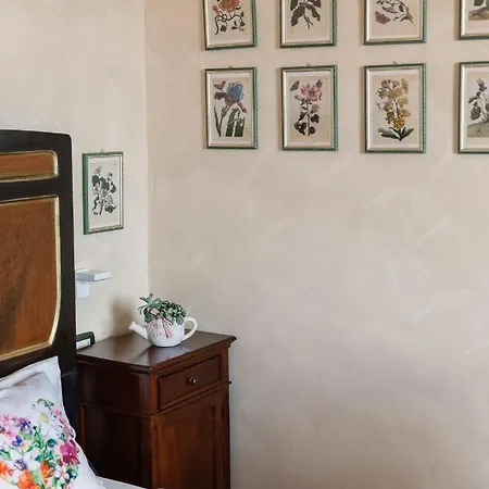 住宿加早餐酒店 Mascitti Alto 4*