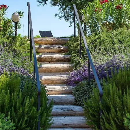 Mascitti Alto 住宿加早餐酒店 4*